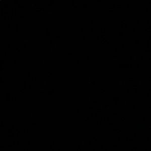 Meet your Posher, Shae anne